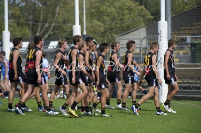 All Bushies Players