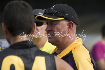 Bushies Coach - Shannon