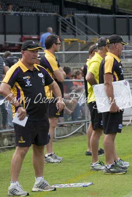 Bushies Coach - Shannon