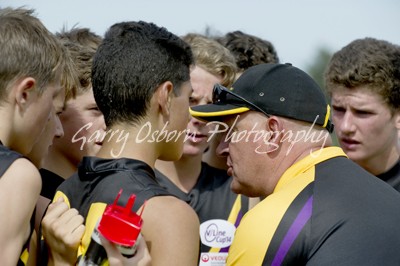 Bushies Coach - Shannon