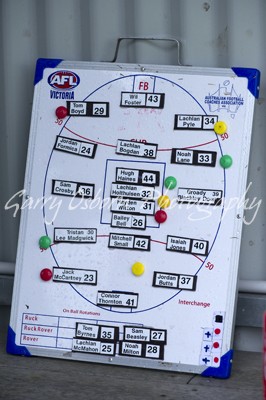 Bushies Team Board