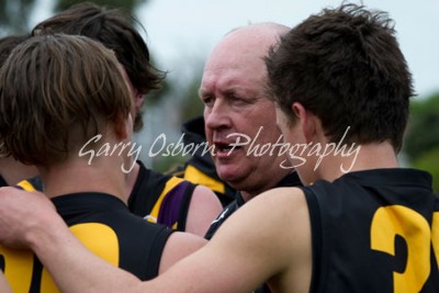 Bushies Coach - Shannon