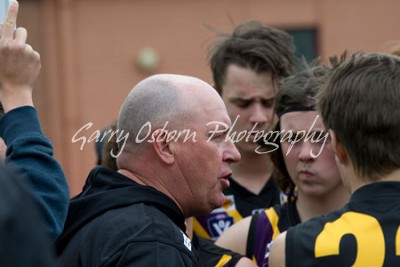 Bushies Coach - Shannon