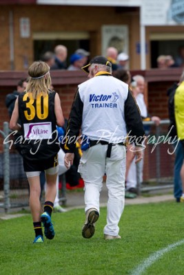 Bushies Trainer - McLaughlin & Shannon