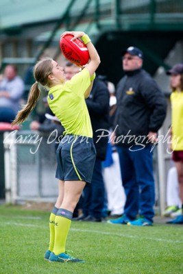 Boundary Umpire