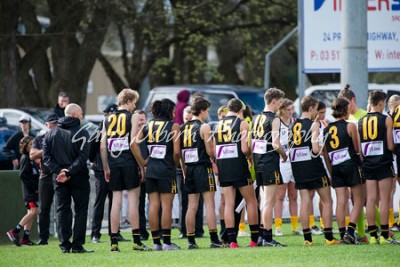 All Bushies Players line up