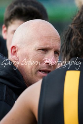 Bushies Coach - Watson