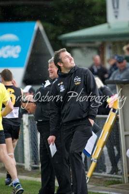 Bushies Assistant - Harrap