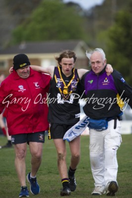 Bushies Trainer - McLaughlin