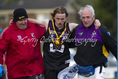 Bushies Trainer - McLaughlin