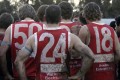 All Swans Players