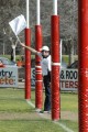 Goal Umpire - 