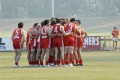 All Swans Before Game