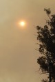 Princess Park Sun Covered In Smoke