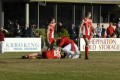 Swans Trainer - Metzke & Hand