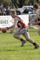 Shepp Swans - Brian Durbridge 