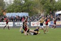 Deledio, Hart & Hopkins