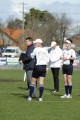 Umpire Advisor - Bull & Umpires