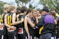 Bushies Coach - Shannon & Players