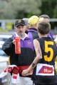 Bushies Trainer - McLaughlin