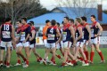 Shepparton United Players