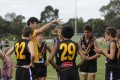 Bushies Runner - Harrap & Players