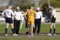 Goal Umpire - Zampaglione