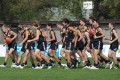 All Bushies Players