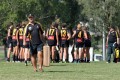 Bushies Trainer - Pritchett