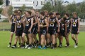 All Bushies Players