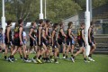 All Bushies Players