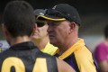 Bushies Coach - Shannon