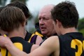 Bushies Coach - Shannon