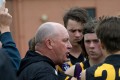 Bushies Coach - Shannon