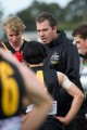 Bushies Assistant - Harrap