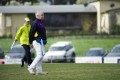 Bushies Trainer - McLaughlin